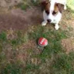 Meet your Posher, Connie